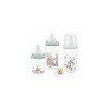 NUK Perfect Match Disney Winnie the Pooh Set