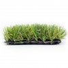 Umelá tráva RIMINI 20mm 2x5m