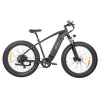 DYU King 750 Mountain E-Bike 26*4.0