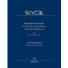 Škola smyčcové techniky op. 2, Sešit 1 - Otakar Ševčík