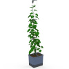 Gusta Garden GG-144C10
