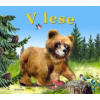 collegium - V lese