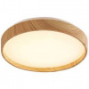 LED stropné svietidlo Rabalux LEANA 2 71143 (71143) hnedé