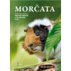 Morčata - Praktická příručka s tipy pro chov a péči - Christine Wildeová