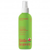 Attitude Sprej pre ľahké rozčesávanie detských vláskov Little leaves s vôňou melónu a kokosu 240 ml