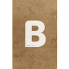 Bible21 XL