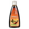 BODY TIP ARGANOVÝ ŠAMPÓN VYŽIVUJÚCI 250 ML