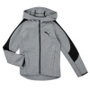 Puma Mikiny EVOSTRIPE CORE FZ HOODIE Šedá