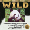 Wild - Dan Kainen, Kathy Wollard