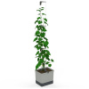 Gusta Garden GG-140C10
