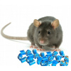 Repelent, plašič pre zvieratá - Ultra silná trutka Professional Mouse Mouse potkan Brodifacum 1 kg (ULTRA SILNÝ JED PROFESIONÁLNY PRÍPRAVOK PRE MYŠI A POKRKANY BRODIFAKUM 1 KG)