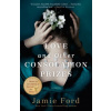 Love and Other Consolation Prizes (Jamie Ford)(Brožovaná)