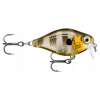 Rapala X-Light Crank Shallow Runner 3,5 cm 4g GGIU