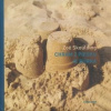 Chrám z piesku je búrka - Zoë Skoulding