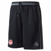 Detská košeľa - Adidas Performance Shorts 116-128 čierny (Adidas CI5526 Futbalové šortky W-F)