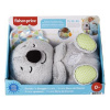 Fisher Price uklidňující koala s melodiemi GRT59 TV