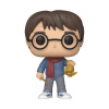 Funko POP! Harry Potter Holiday Harry Potter 9 cm
