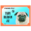 Dafiko Tabulka Tady hlídám! Mops 1ks