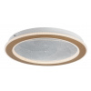 Rabalux EFRAEL LED stropné svietidlo 71281