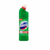 Trebor Domestos 750 ml Pine