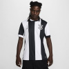 Nike S.C. Corinthians Third Shirt 2024 2025 Adults White S