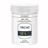 Pilomax Wax Tricho 240 ml maska urýchľujúca rast vlasov