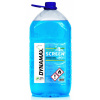 SCREENWASH GREEN -20 5L (PET) DYNAMAX (SCREENWASH GREEN -20 5L (PET))