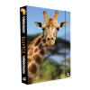 KARTON P+P Box na zošity A4 Jumbo Žirafa