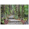 Foto -Screen 225x160 Poľsky pre obývaciu izbu (Tlačený obrázok Trail na Wakayama v ... 225x160)