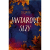 Jantarové slzy