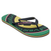 pánske žabky QUIKSILVER MOLOKAI SCREEN GNZ0/LEPRECHAUN 44