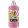 COCCOLINO Honeysuckle & Sandalwood 1,275 l (51 praní)