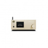 Streamer / DAC:Gold Note DS-10 EVO