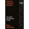 The Precariat - Prof. Guy Standing