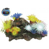 Nobby Aplysina s rastlinami LED 27,7x14,3x14 cm