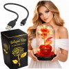 VEČNÁ RUŽA V SKLE LED SVIETIACA NA BATÉRIE + USB KÁBEL DARČEK Deň sv. Valentína