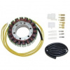Q-TECH Stator alternátora (Aprilia), M312-059