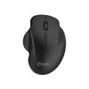 C-TECH myš WLM-14BK Dual mode, bezdrátová, ergo, BT5.0 + 2,4GHz, 1600DPI, 6 tlačítek, USB nano receiver, černá (WLM-14BK)