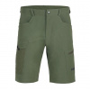 Direct Alpine Mordor Short velikost M barva khaki