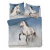 Detexpol obliečky Kôň grošák Bavlna 200x220 2x70x80