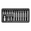 Yato Sada bitů 15 ks TORX box
