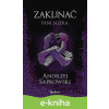 E-kniha Zaklínač VII: Pani Jazera - Andrzej Sapkowski