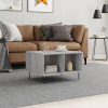VidaXL Kávový stolík, sivý dub sonoma 60x50x36,5
