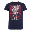 Fan-shop Dětské tričko LIVERPOOL FC Street modré Detská: 7-8 let