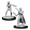 Dungeons & Dragons Nolzur's Marvelous Miniatures - Shifter Rogue 2-Pack, 4 cm