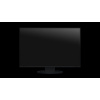 EIZO FlexScan/EV2495/24,1