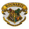 Nažehľovačka Monoquick - HARRY POTTER© ZNAK BRADAVICE