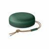 BANG & OLUFSEN Beosound A1 2nd Gen Green