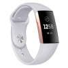 BStrap Silicone Large remienok na Fitbit Charge 3 / 4, gray SFI007C09