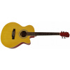 Marktinez M 100 NAM elektroakustická gitara s výrezom